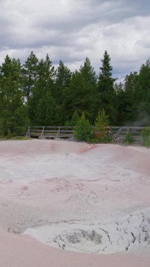 Yellowstone Ulusal Parkı 'nın çarpıcı güzelliğini keşfetmek için unutulmaz bir yolculuğa çıkın. Burada eşsiz jeotermal özellikleri keşfedebilir ve her yerde nefes kesici manzaraların tadını çıkarabilirsiniz.