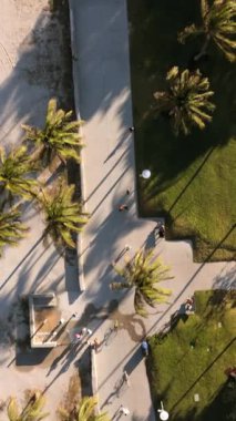 Bu hava fotoğrafı sallanan palmiyeleri, kıvrımlı yolları ve Miami Beachs 'ın yemyeşil çimenliklerini yakalar. Çekiciliğiyle bilinen Floridas hareketli ve pitoresk kıyı manzarasını gözler önüne serer.