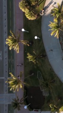 Miami Sahili 'nin nefes kesici hava manzarasını tecrübe edin. Canlı palmiye ağaçları, pitoresk yollar ve güneşli Florida' nın çarpıcı şehir güzelliğini çok güzel sergiliyor.