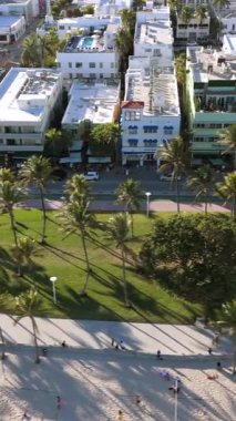 Miami Sahili 'nin nefes kesici hava manzarasını deneyin, sallanan palmiyeler ve canlı mimari, güneşli Florida' da seyahat ilhamı ve tatil planlaması için mükemmel, rahatlama ve macera karışımı.