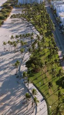 Miami Sahili 'nin bu hava manzarası, palmiyeli gezinti güvertesini ve canlı kıyı şeridini aydınlatıyor. Bu da onu unutulmaz tatil için mükemmel bir yer haline getiriyor. Güneş, deniz ve eğlence dolu.