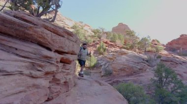 Zion Ulusal Parkı 'nın nefes kesen ve çarpıcı manzaralarında canlı ve gür yeşilliklerle sarmalanmış engebeli kaya oluşumlarını keşfedeceğiniz maceralı bir yürüyüşe çıkın.