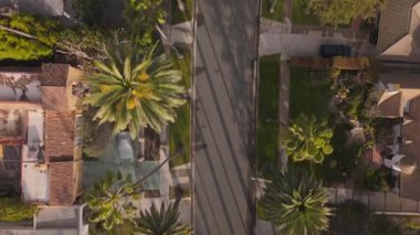 Çarpıcı hava görüntüsü Beverly Hills 'te lüks bir mahalleyi gözler önüne seriyor, Los Angeles, Kaliforniya' nın canlı şehrinde bir dizi uzun palmiye ağaçları ve zarif evler yer alıyor.