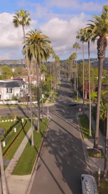 Beverly Hills, Los Angeles 'taki güzel yerleşim sokağının dikey hava aracı görüntüleri. Palmiye ağaçları, zarif evler ve sakin bir atmosfer, Kaliforniya, ABD