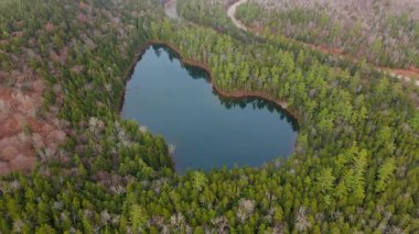 Nefes kesici bir hava manzarası kalp şeklinde eşsiz bir göl yakalıyor. Canlı ve yemyeşil ağaçların arasına güzelce yerleşmiş, bu büyüleyici manzaranın büyüleyici güzelliğini sergiliyor.