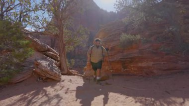 Afrika kökenli Amerikalı bir erkek, Zion Ulusal Parkı 'nın çarpıcı manzaralarında yürüyüş yapmayı seviyor. Sağlam bir sırt çantasıyla donatılmış ve doğanın büyüleyici güzelliğini keşfetmeye hevesli.