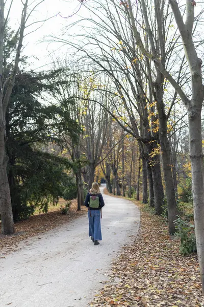 Huzurlu bir yürüyüş yolu, sonbahar mevsiminde çıplak ağaçların dik durduğu güzel ve sessiz bir parkın içinden geçer. Huzurlu bir ambiyansa katkı sağlayan yapraklardan oluşan zengin bir halı sergiler.