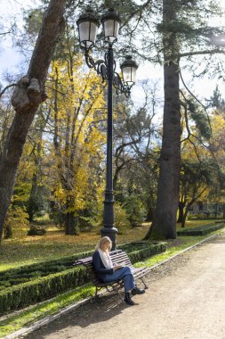 Büyüleyici ve barışçıl bir sahne, güzel bir doğal ortamda canlı sonbahar yapraklarıyla çevrili bir bankta rahatça otururken kitap sanatına dalmış bir insanı tasvir eder.