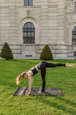 Göçmen bir kadın, güneşin altında yoga minderinin üzerinde dururken mükemmel bir denge ve konsantrasyon sergileyen çarpıcı ve pitoresk bir yerde yoga pozu veriyor.