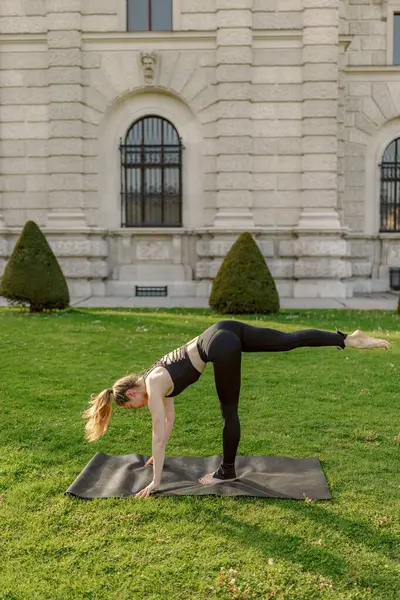Göçmen bir kadın, güneşin altında yoga minderinin üzerinde dururken mükemmel bir denge ve konsantrasyon sergileyen çarpıcı ve pitoresk bir yerde yoga pozu veriyor.