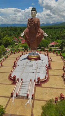 Havadan bakıldığında Tayland 'daki devasa bir Buda heykeli, yemyeşil ağaçların ve açık mavi gökyüzünün ortasındaki canlı bir arazide sergileniyor. Bu heykel, herkesi sahnenin dingin güzelliğinin tadını çıkarmaya ve duraklamaya davet ediyor.