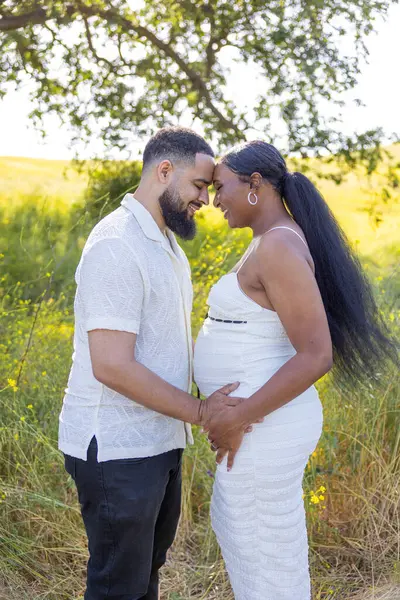 Gerçekten iç açıcı bir sahne, mutlu yaz günlerinin tadını çıkaran hamile Afrikalı Amerikalı çifti yakalıyor. Aileleri olarak gelecekleri için bol sevgi ve heyecan dolular.