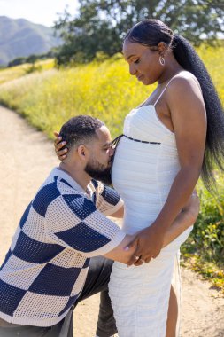 Neşeli bir Afrikalı Amerikalı çift sıcak bir yaz gününü dışarıda geçiriyorlar, heyecan verici hamileliklerini tamamen kucaklayarak ve kutlayarak, etraflarındaki doğanın çarpıcı güzelliğiyle.