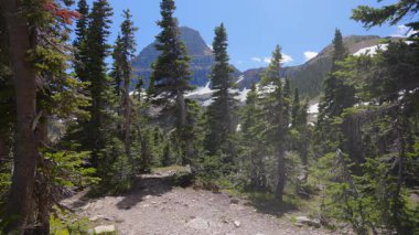 Buzul Ulusal Parkı 'nın nefes kesici ve nefes kesici manzaralarını keşfetmek için bir yolculuğa çıkın. Orada berrak, mavi gökyüzünün altında gür, canlı ormanlar ve görkemli dağlar bulabilirsiniz.