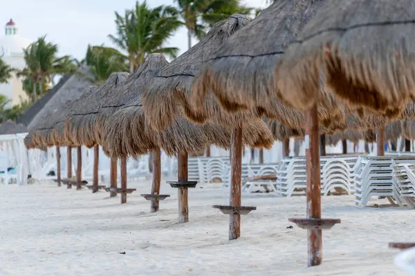 Saman şemsiyeleri ve uzun, sallanan palmiye ağaçları altında uzanan sakin tropikal bir sahil hayal edin, hepsi ılık bir okyanus esintisinde yavaşça hareket ediyor, rahatlamak için mükemmel bir kaçış yolu yaratıyor.