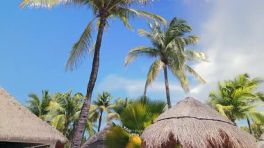 Titreyen tropikal cennetin nefes kesici güzelliğine dalın. Palmiyeleri sallayan, geleneksel sazdan çatıları olan, parlak mavi gökyüzünün altında.