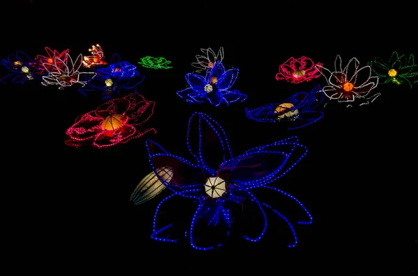 Unusual Lantern Festival Chinese Culture Whimsical Shapes Flowers Landscape Black — Stock Photo, Image
