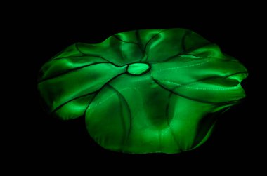 Alışılmadık Çin fener festivali Çin kültürünün tuhaf şekilleri çiçek manzarasına yöneliktir.