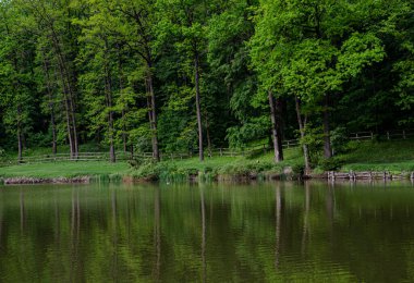 Gölün kıyısındaki yeşil orman su yönüne iyi yansıyor..