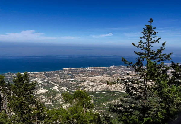 Widok Dolinę Szczytu Gór Cyprze Pierwszym Planie Las Zboczu Gór — Zdjęcie stockowe