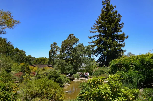 Tradiční Japonská Zahrada Kalifornii Hakone Gardens Saratoga — Stock fotografie