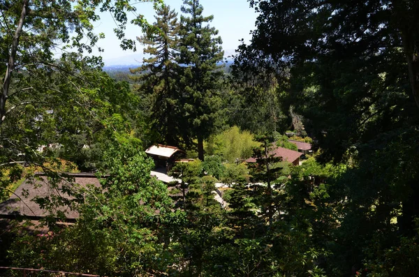 Giardino Tradizionale Giapponese California Hakone Gardens Saratoga — Foto Stock