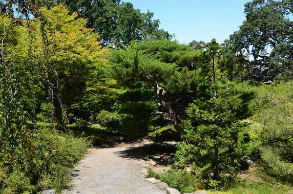 Estados Unidos California Mayo 2023 Hakone Estate Gardens Saratoga — Foto de Stock