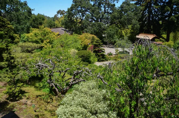 Usa California Maggio 2023 Hakone Estate Giardini Saratoga — Foto Stock