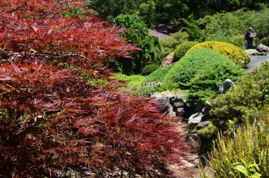 ABD Kaliforniya Mayıs 2023 Hakone Malikânesi ve Saratoga Bahçeleri.