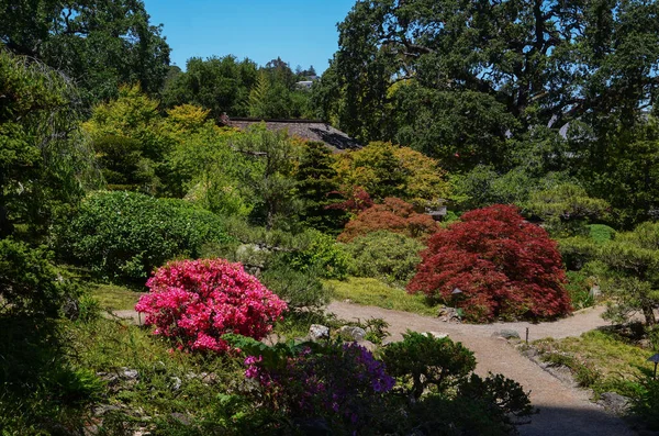 Usa Kalifornie Květen 2023 Hakone Estate Gardens Saratoga — Stock fotografie