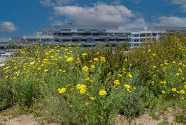 ABD California Los Angeles Playa Vista 8 Mayıs 2023 Central Park ofis binaları.