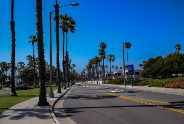 ABD California Los Angeles Santa Monica Bölgesi 13 Mayıs 2023 Palmiye ağacı sıralanmış sokak.