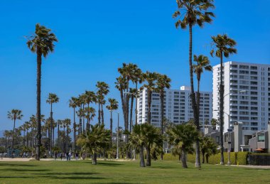 ABD Kaliforniya Santa Monica Bölgesi 13 Mayıs 2023 Palmiye ağaçları ve okyanus üzerindeki binalar.