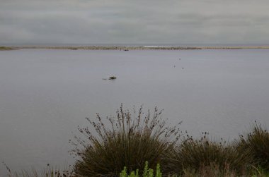 ABD California Malibu Eyalet Plajı 20 Mayıs 2023 muhteşem doğal güzellikte lagün manzarası detayları.