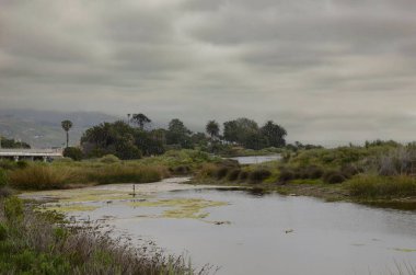 ABD California Malibu Eyalet Plajı 20 Mayıs 2023 muhteşem doğal güzellikte lagün manzarası detayları.