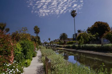 Kaliforniya 'daki Venedik Kanalları' nda muhteşem evler, tekneler, kıyılarda palmiye ağaçları.