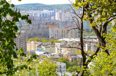 Ağaçların arasından Castle Hill 'den antik şehir Lviv' in manzarası.