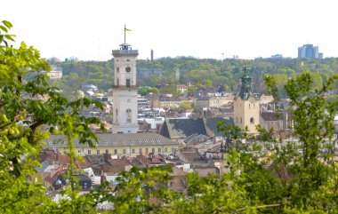 Ağaçların arasından Castle Hill 'den antik şehir Lviv' in manzarası.