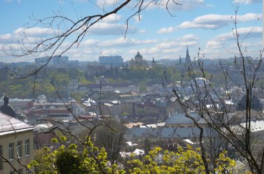 Ağaçların arasından Castle Hill 'den antik şehir Lviv' in manzarası.