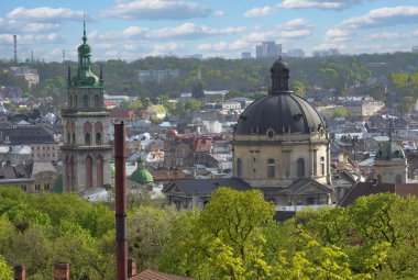 Ağaçların arasından Castle Hill 'den antik şehir Lviv' in manzarası.