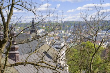 Ağaçların arasından Castle Hill 'den antik şehir Lviv' in manzarası.