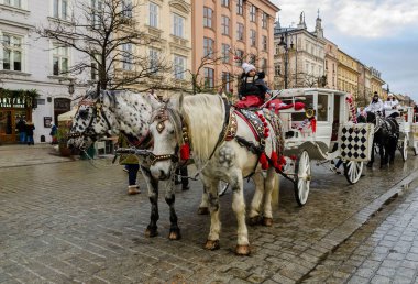 Bir kış günü şehir merkezinde tarihi binaların arka planında at arabaları olan güzel atlar. Noel kutlaması. Halk şenlikleri