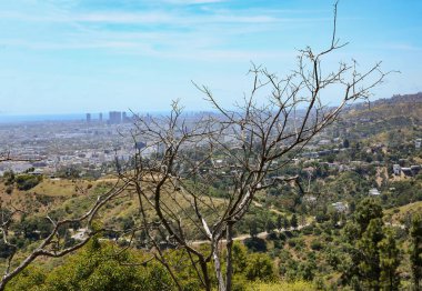 Griffith Park, Los Angeles 'taki en geniş açık alan ve şehir sınırları içindeki en büyük doğa koruma alanıdır.