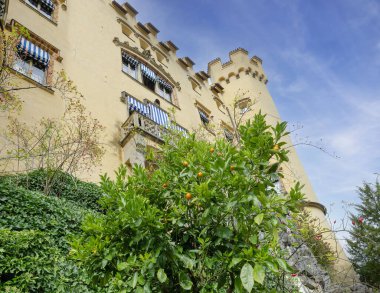 Hohenschwangau Castle in the Bavarian Alps the childhood residence of King Ludwig II of Bavaria (Hohenschwangau, Allgaeu, Bavaria Germany clipart