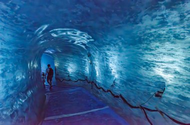 Buzul bir Montenvers üzerindeki buz mağarası Mar de Glace tünelleri turistler için buzun çekim alanının kalınlığını kesiyor..