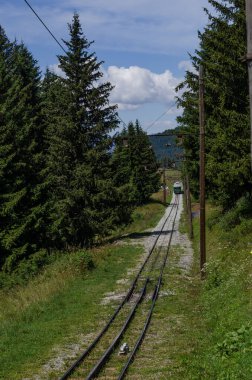 Klasik Dağ Treni TMB Mavi Gök Altında Çam Ormanı 'ndan geçen Manzaralı Tren Treni.
