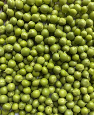 Taze taze bezelyeler yakın çekim, sağlıklı organik sebzeler, yiyecek ve diyet için doğal doku arka planı.