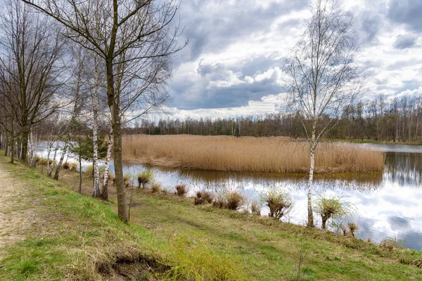 Borki 湖的春天看法在边界在 Sosnowiec 和卡托维兹城市之间 — 图库照片