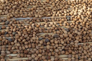 Bademler açık havada kuruyor bir engelin üzerinde