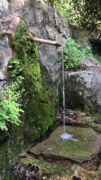 Mineralwasserquelle Die Zwischen Den Mit Moos Und Flechten Bedeckten Felsen — Stockvideo